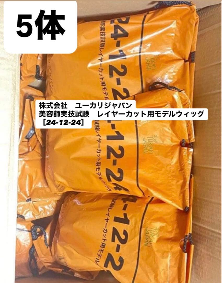 美容師実技試験モデルウィッグ 株式会社 ユーカリジャパン 【24-12-24】