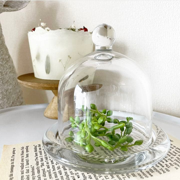 ご成約済み⌘ ガラスドーム ⌘ ガラスコンポート ガラス受皿付き