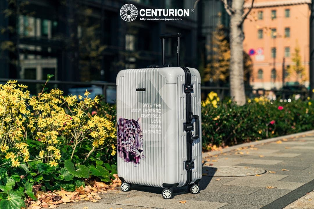 CENTURION 29インチ日本限定　ホワイト　グレー　フレーム型　Lサイズ