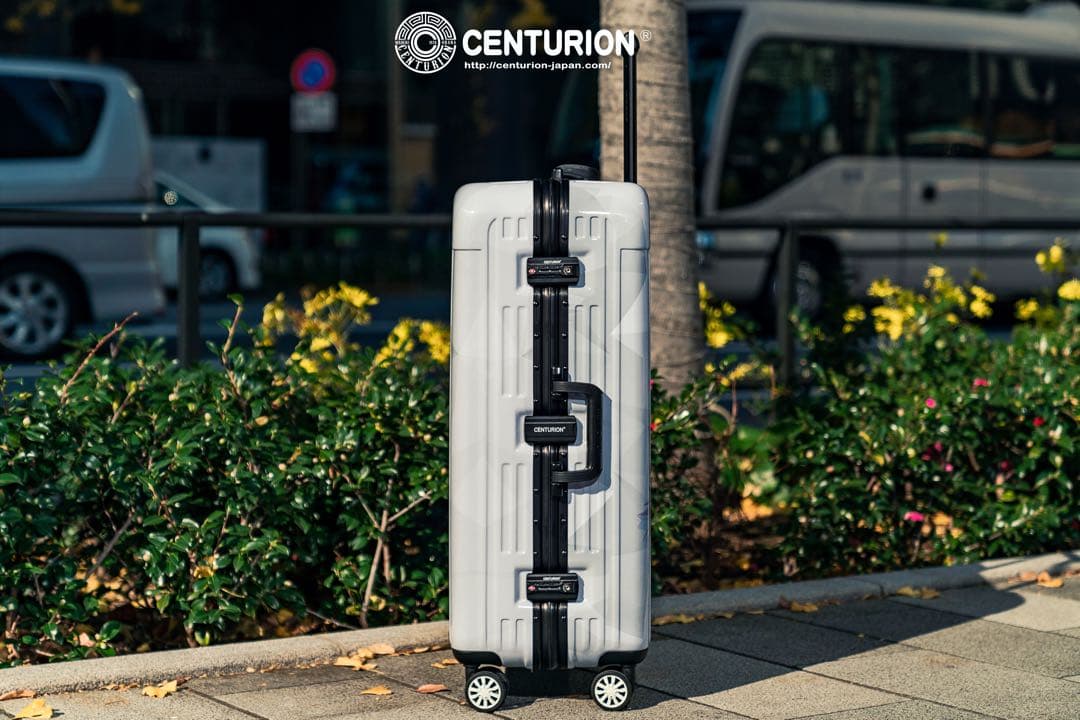 CENTURION 29インチ日本限定　ホワイト　グレー　フレーム型　Lサイズ