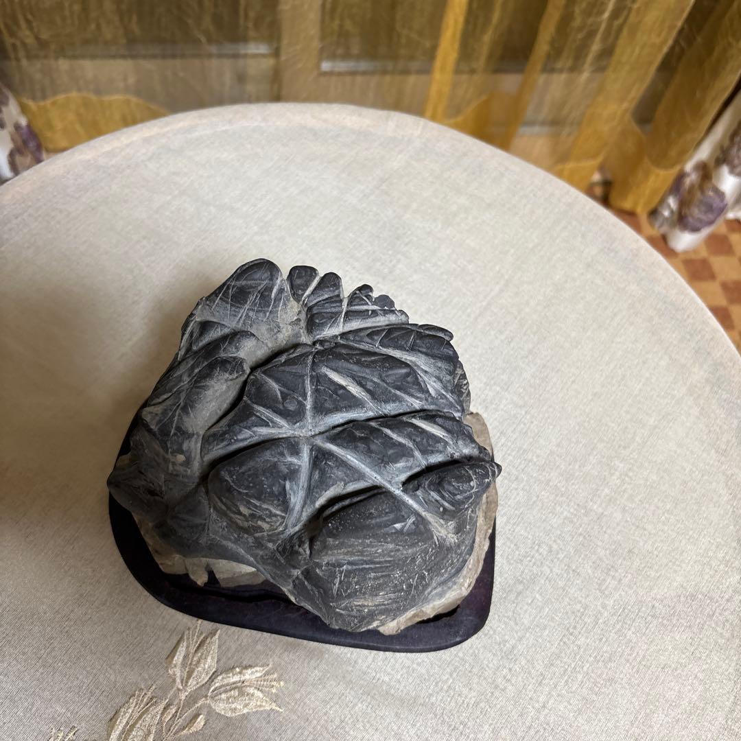 亀の形 水石 黒色 木製台座付き約3キロ