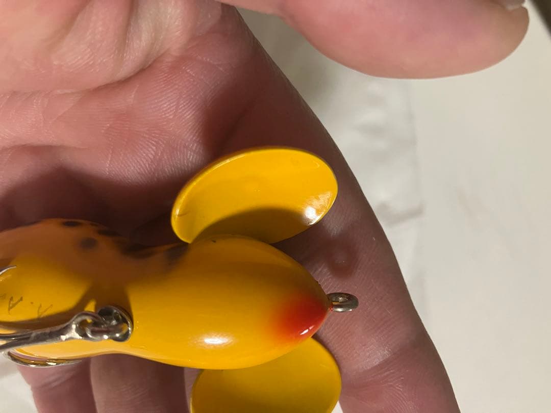 バルサ50ラージマウス青嶋サイン入り激レア！