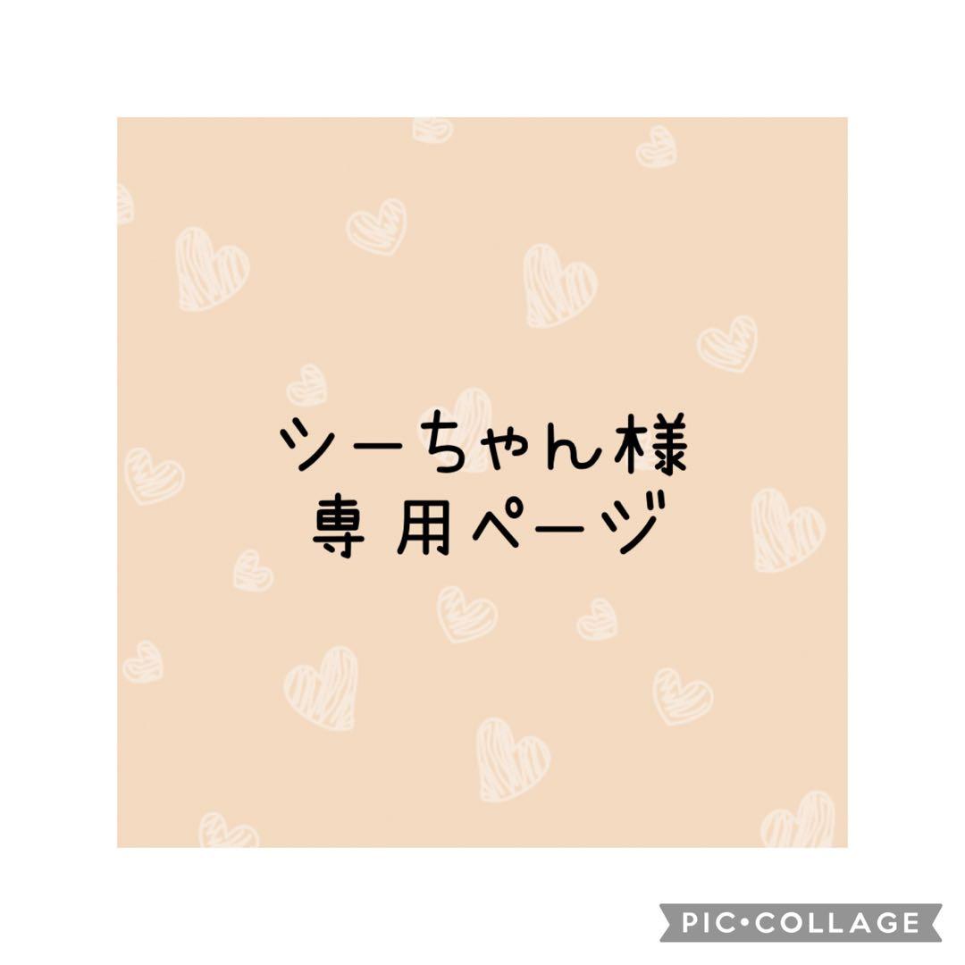 シーちゃん様　オーダー専用ページ