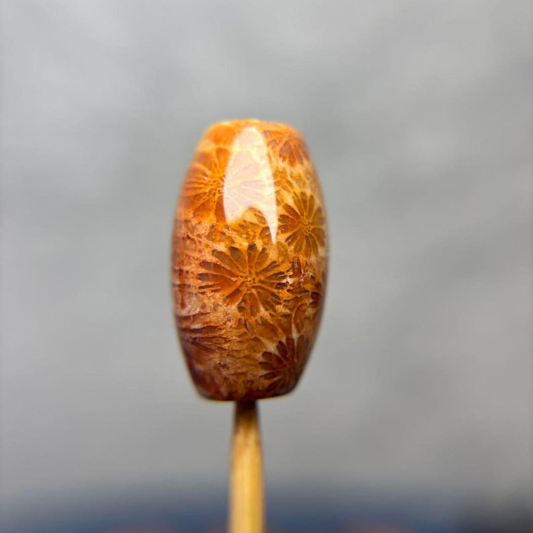 ユッキーフォッシルコーラル　天珠　1-325