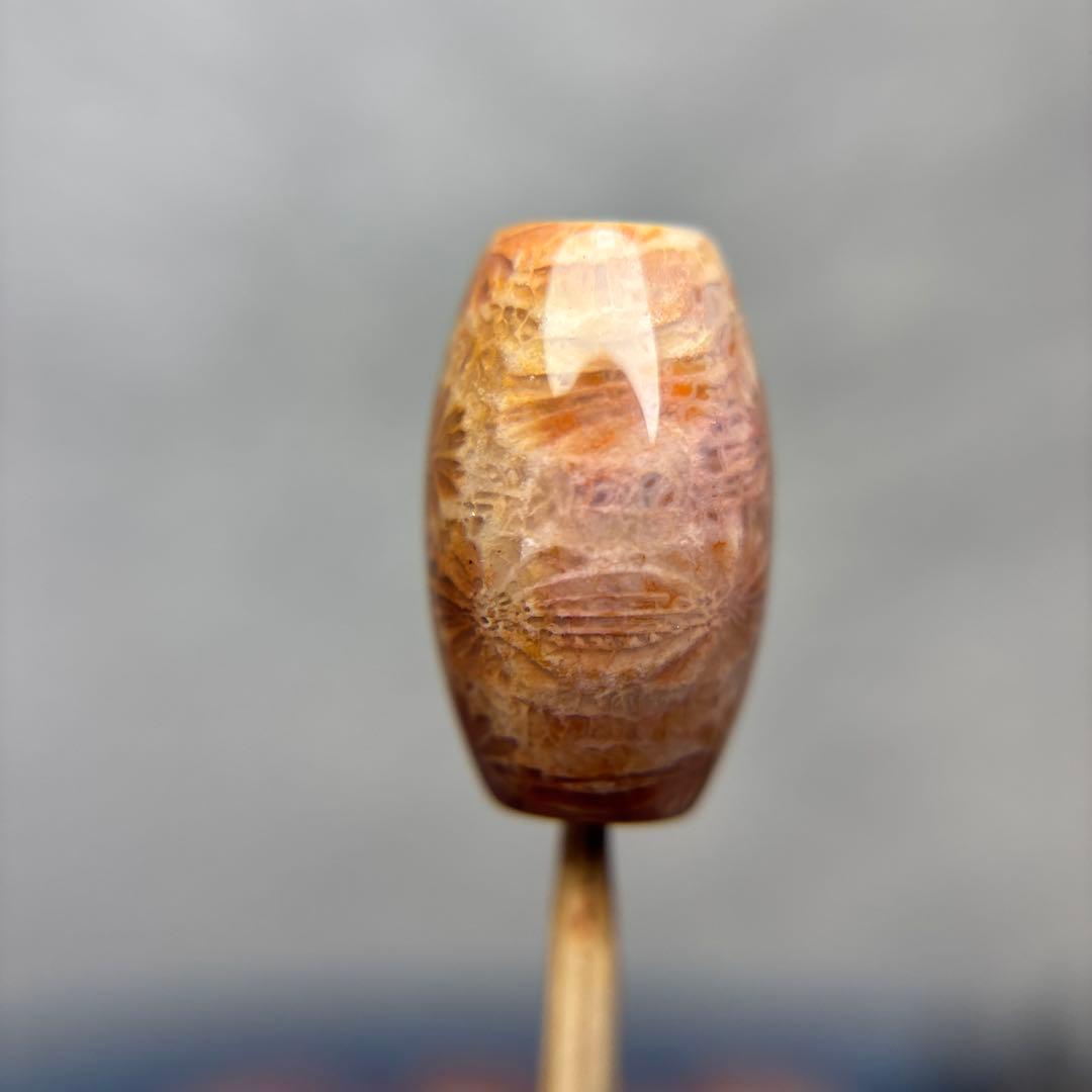 ユッキーフォッシルコーラル　天珠　1-325