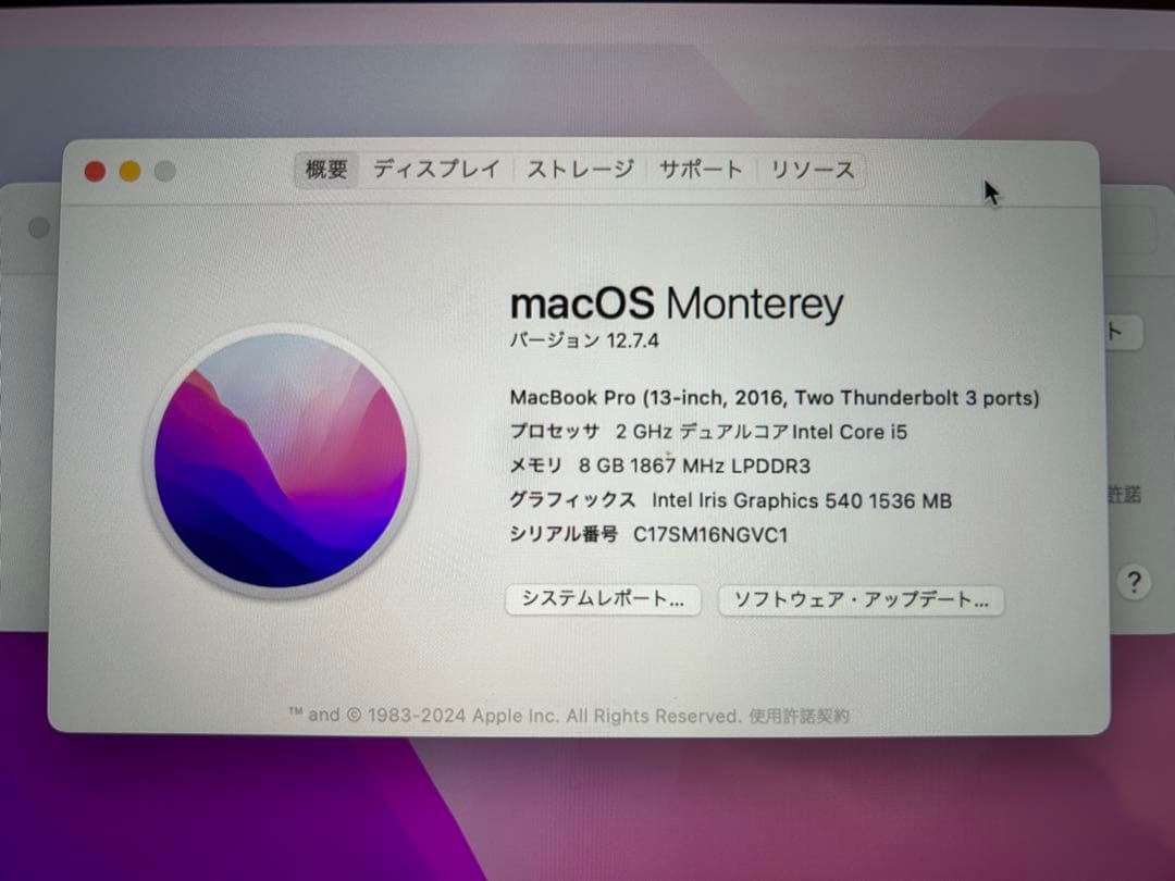【美品】MacBook Pro 13インチ 2016 256GB メモリ8GB