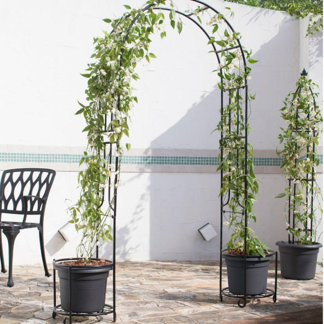 アーチ バラ クレマチス　ガーデニング 庭 ガーデンアーチ　ローズ　 薔薇アーチ