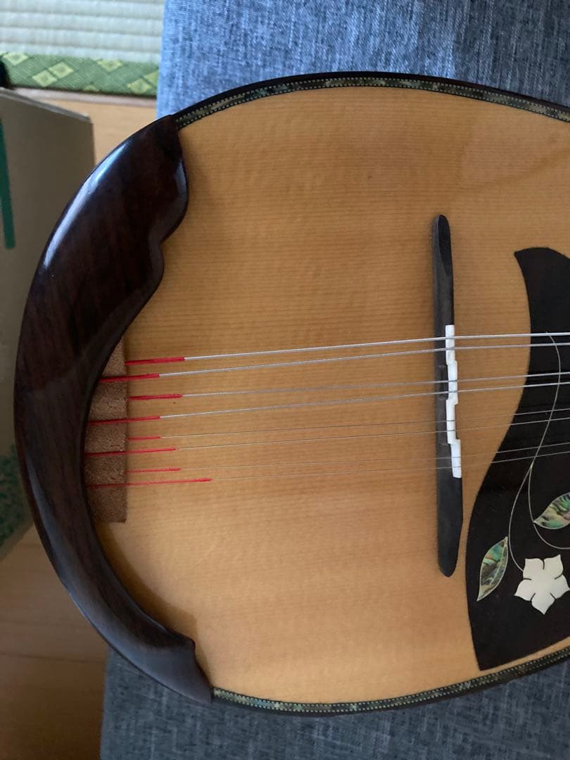 Ｓ*Ｙ様 マンドリン（サウンドエナ M-160）ケース付き