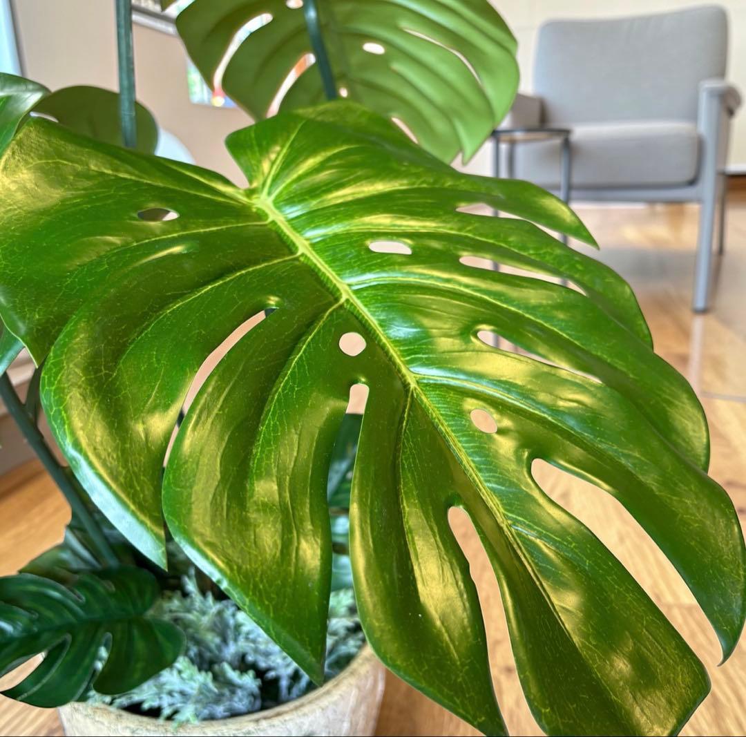 光触媒　人工観葉植物　ウォールグリーン　フェイクグリーン　バリ風特大モンステラ3