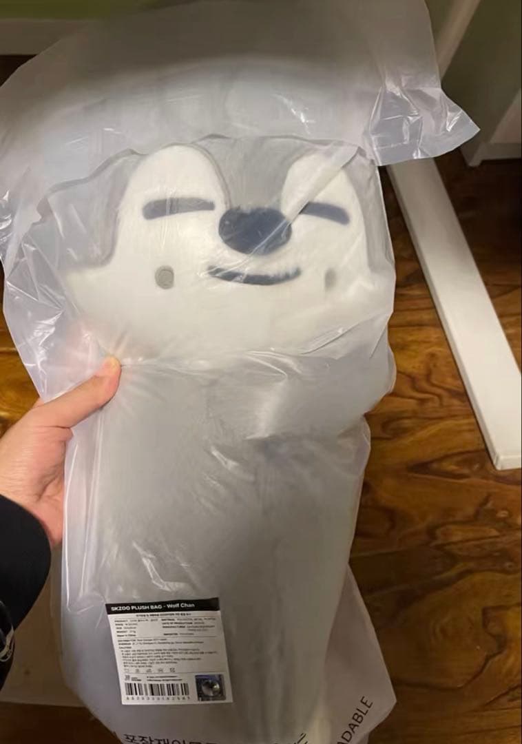 straykids celebrATE プラッシュバッグ ウルフチャン