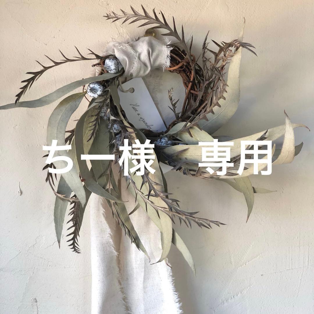 ちー　火曜日発送