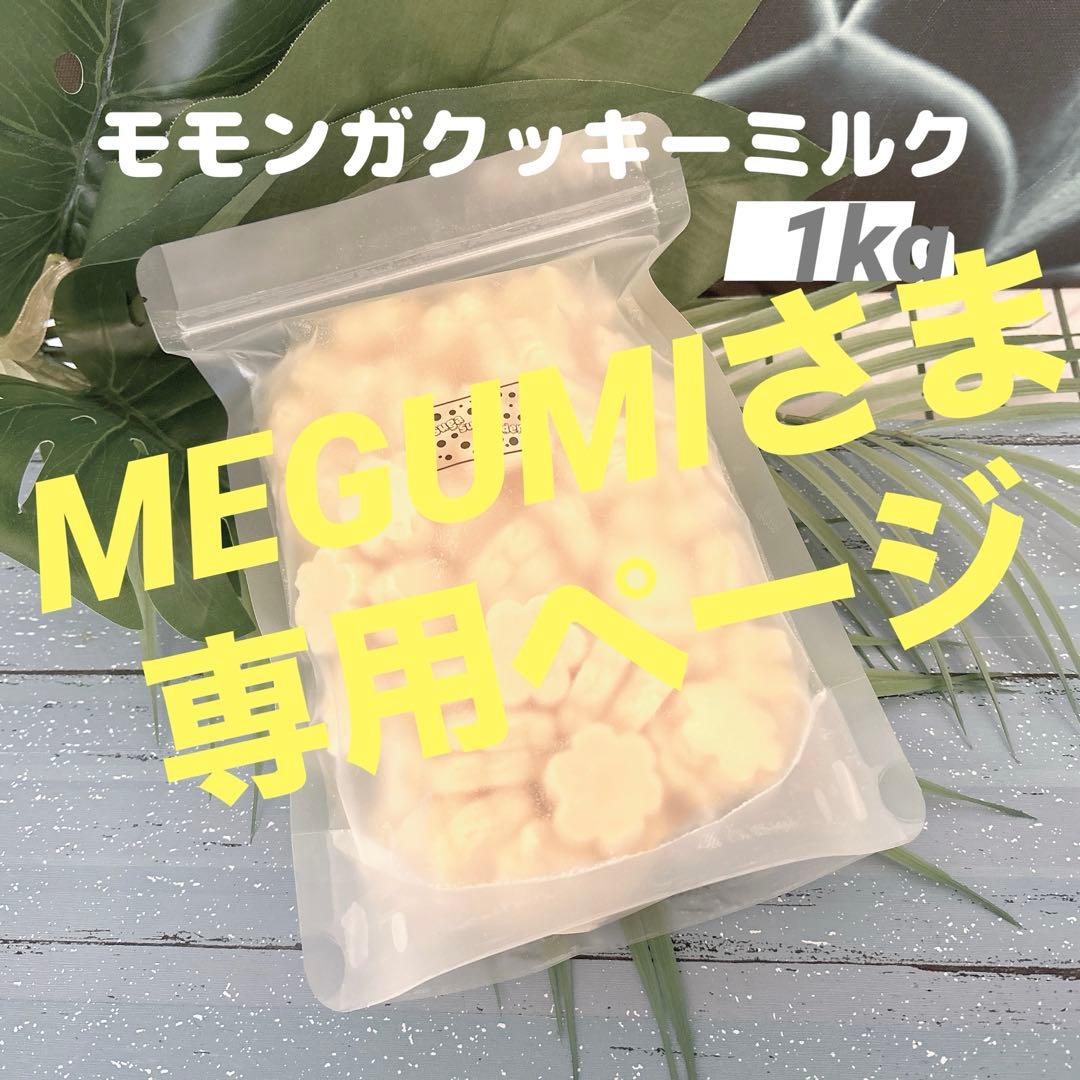 MEGUMIさま専用ページ