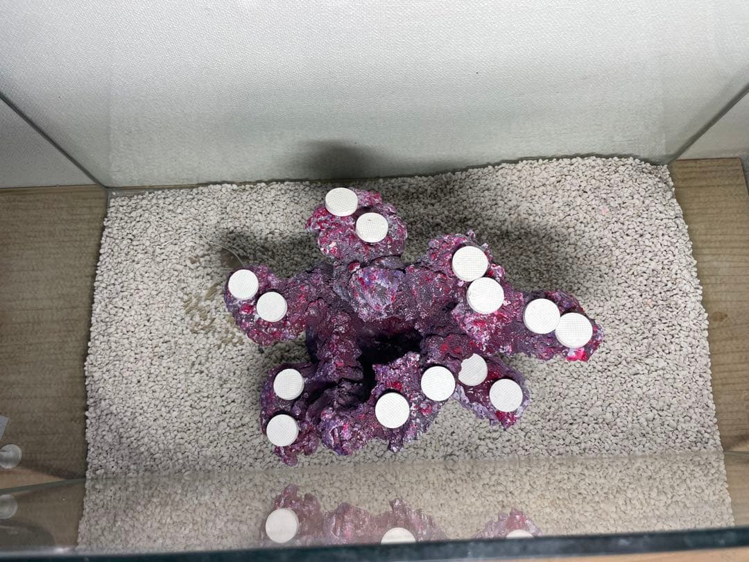 【送料無料】人工ライブロック　PHR16／14穴加工　アク抜き済み安心塗料使用