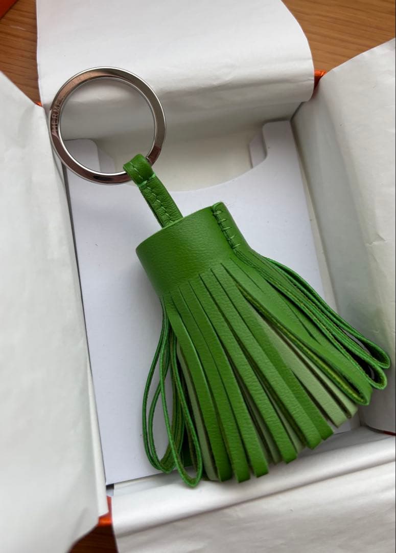 エルメス　カルメン トリコロール　新品未使用 ヴェールユッカ グリーン系 ピンク