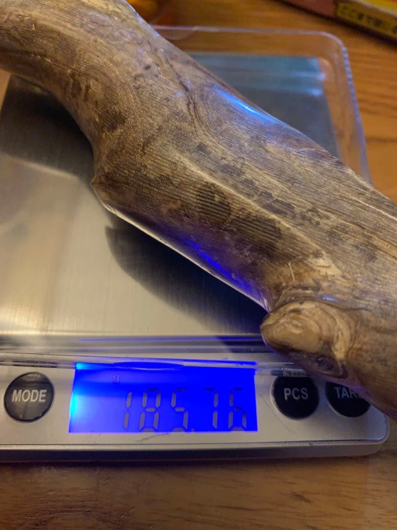 専用　限界価格に挑戦　深海宝石　超希少品　185g 虹色珊瑚（青珊瑚）深海松