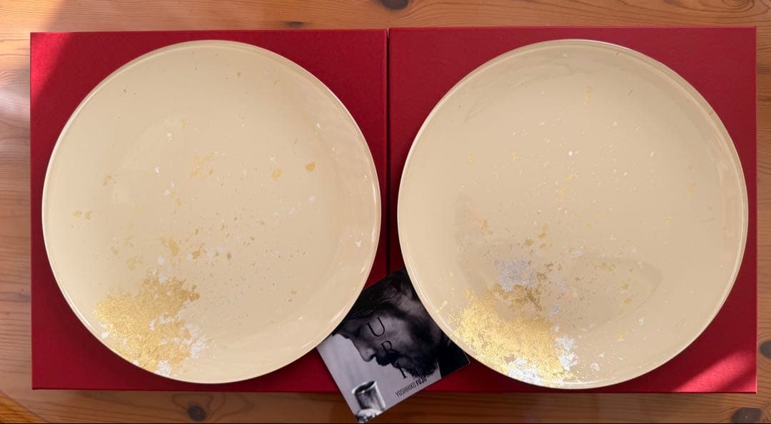 YOSHIHIKO FUJII 漆白金箔ガラスプレート2枚組