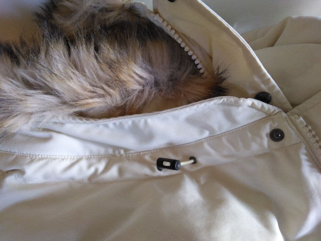 【美品です！】ダントン ホワイトダウンジャケット Mサイズ フード付き