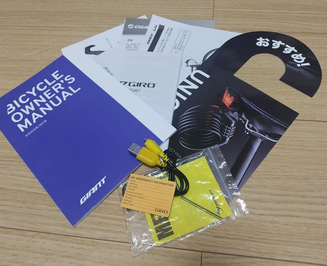 GIANT　RX3 サイズM