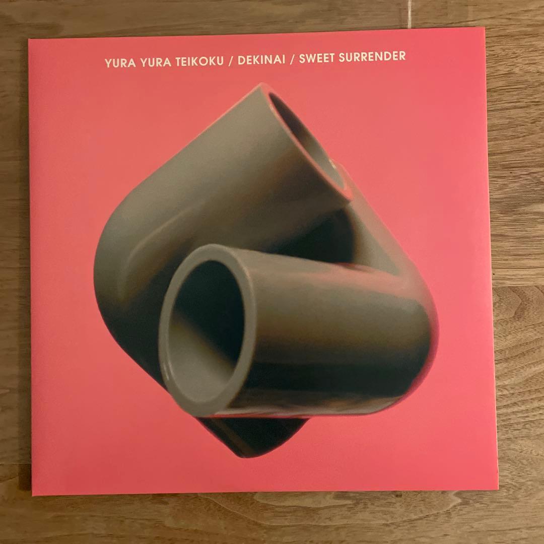 ゆらゆら帝国 / できない 12インチ レコード