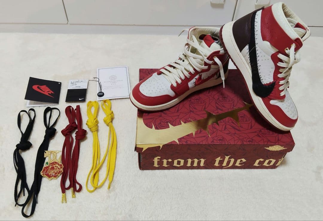 テヤナ テイラー ナイキ ウィメンズ エアジョーダン1