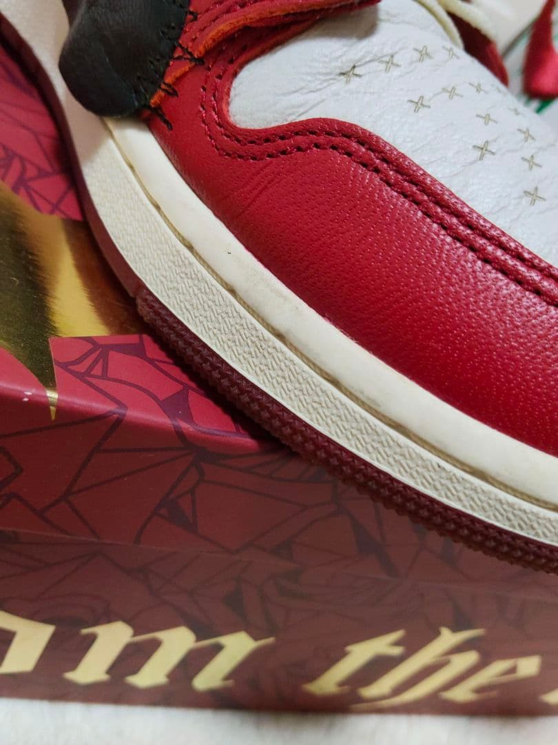 テヤナ テイラー ナイキ ウィメンズ エアジョーダン1