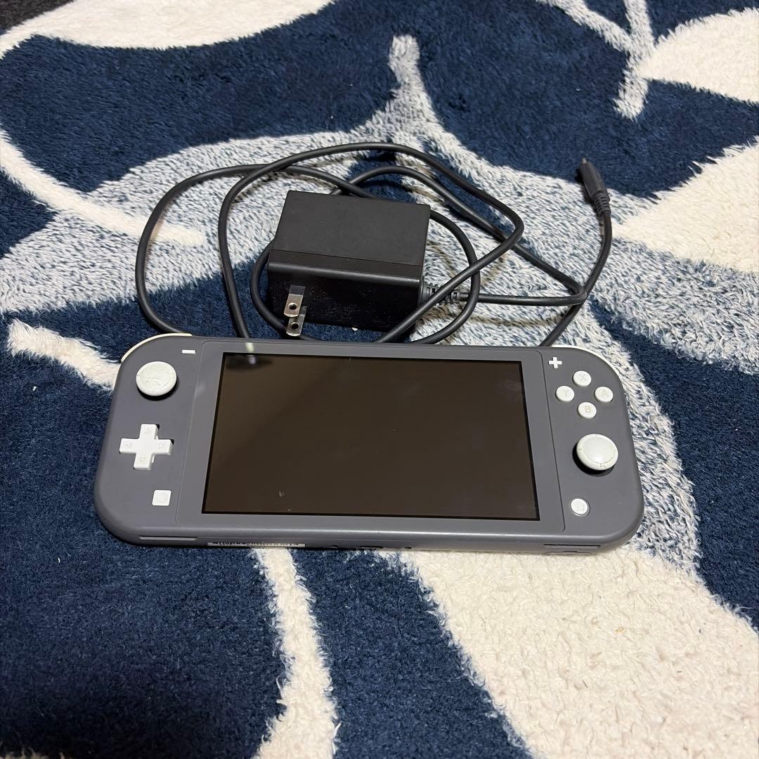 Switchライト本体&充電器