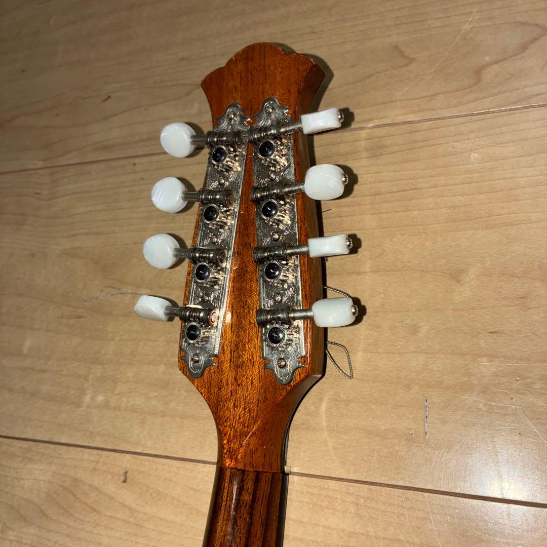 TSUNEO FUJIMARU MODEL ikegaku ANNO マンドリン