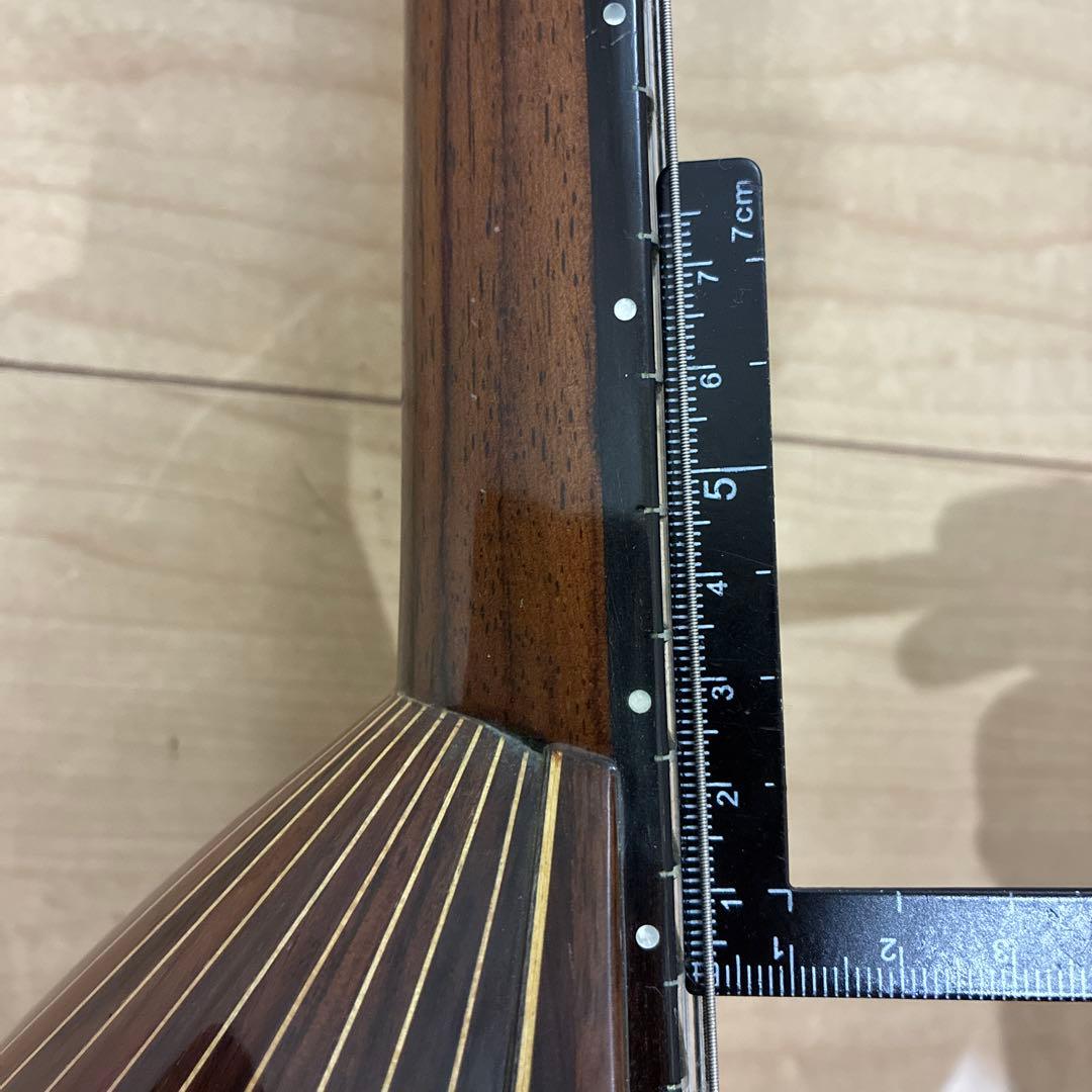 TSUNEO FUJIMARU MODEL ikegaku ANNO マンドリン