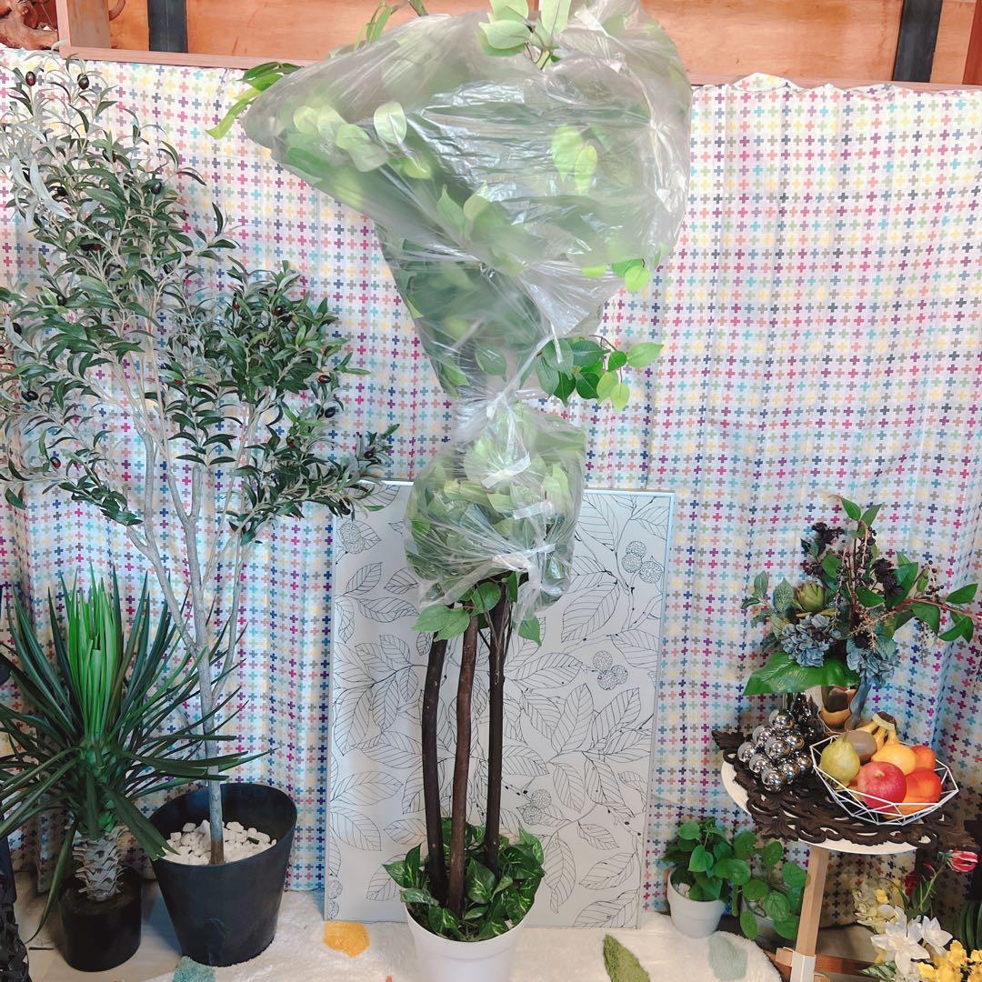 人工観葉植物　フェイクグリーン