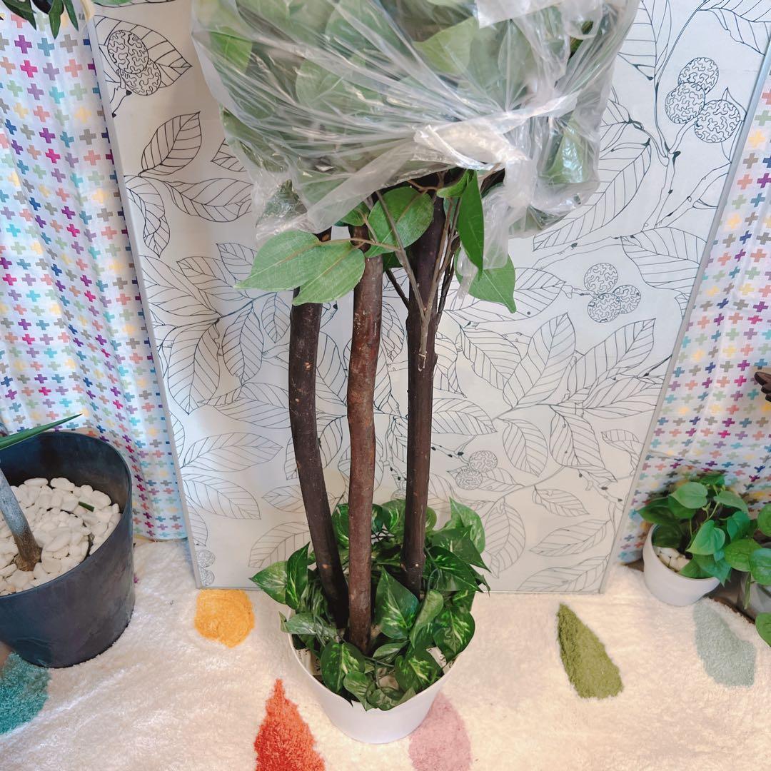 人工観葉植物　フェイクグリーン