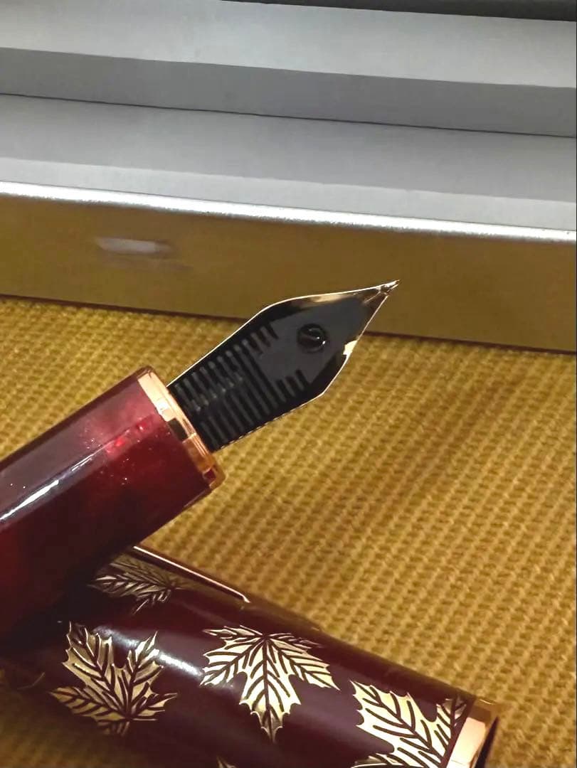 特殊な？万年筆４本セット モンテヴェルデ　オムニフレックス　長刃ペン先　ほか