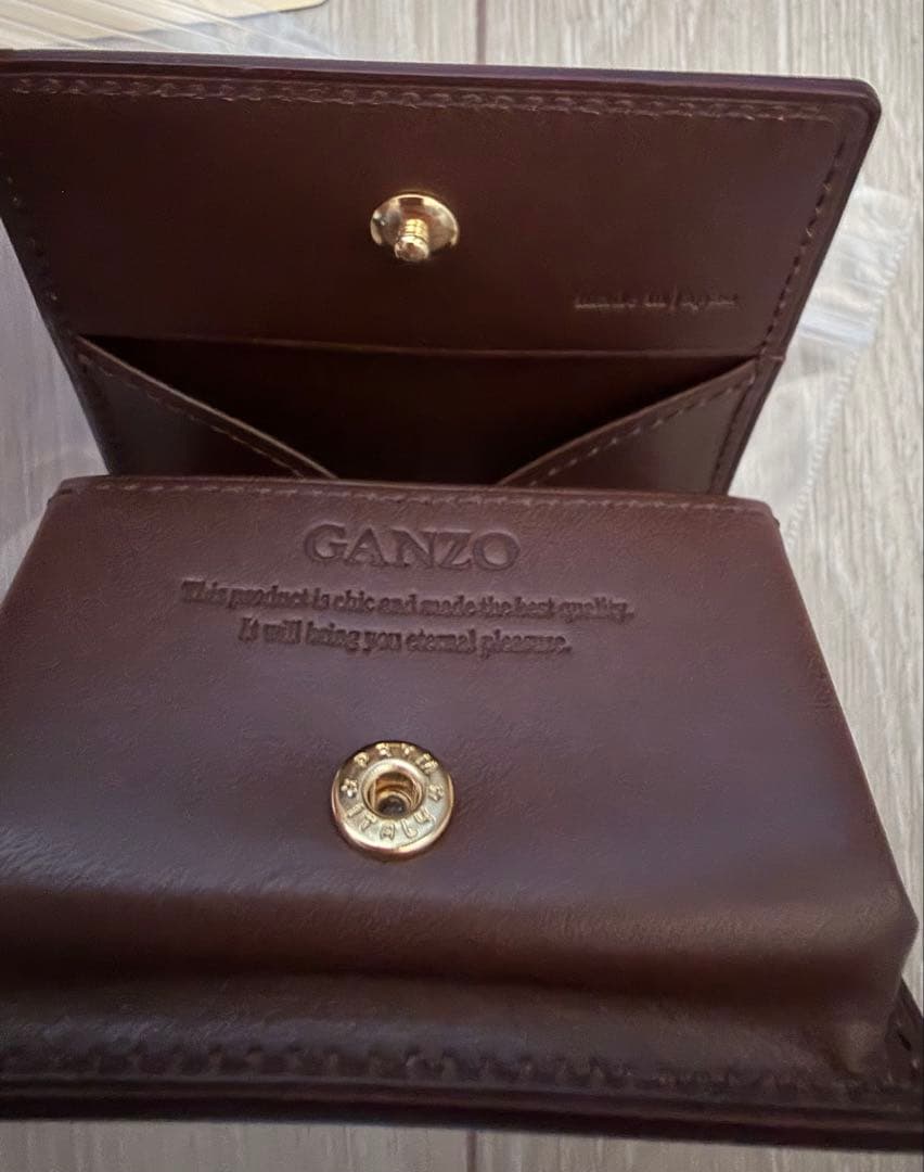 新品未使用　Ganzo ケース