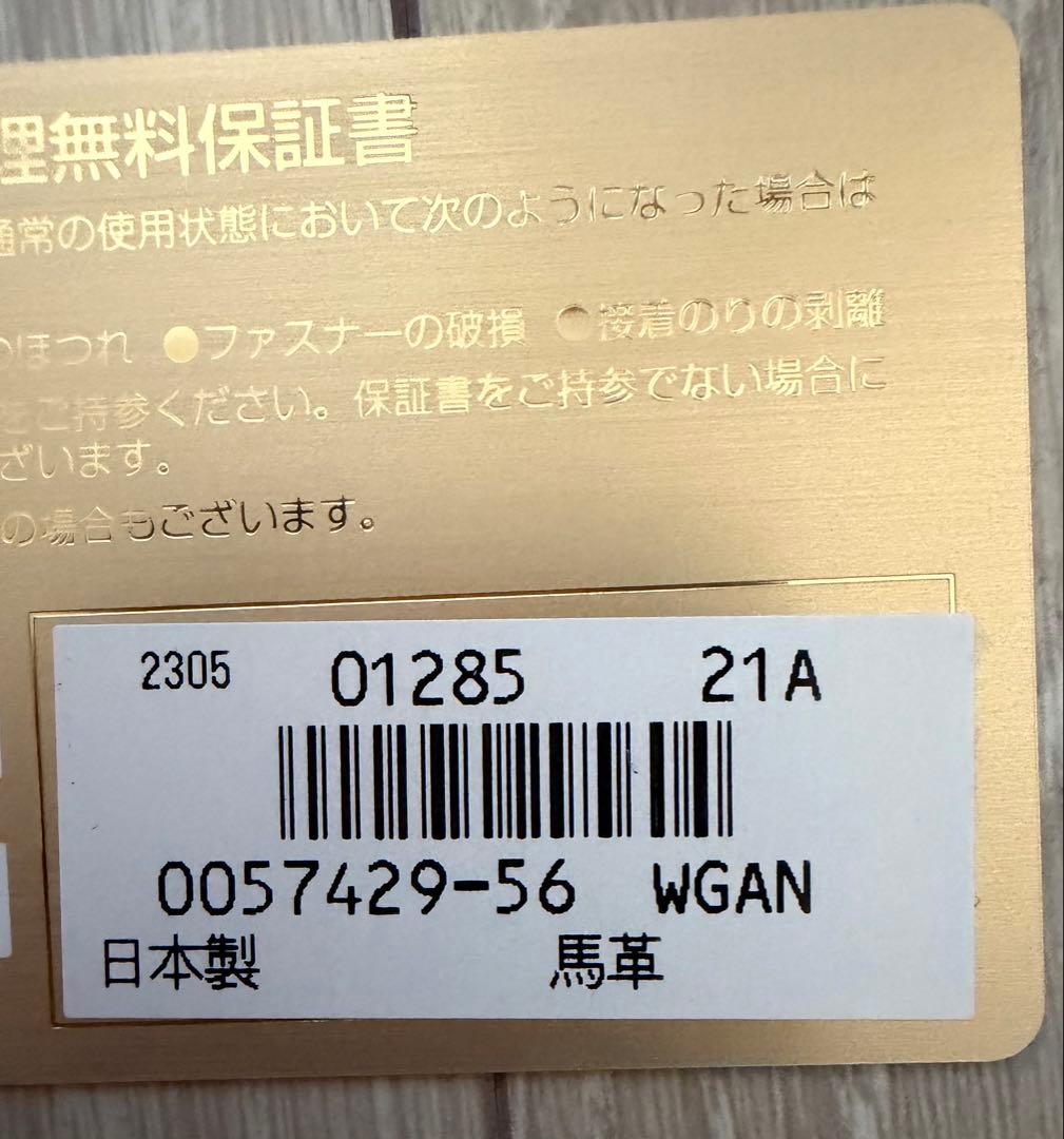 新品未使用　Ganzo ケース