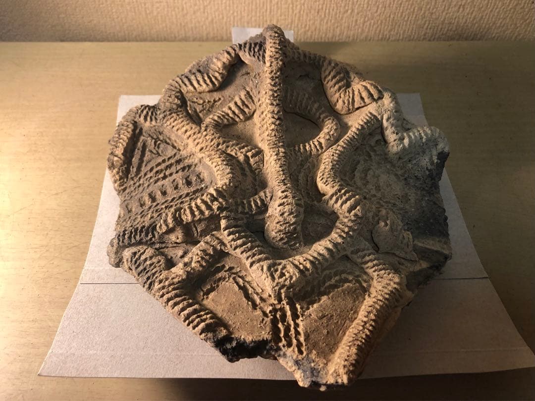 「土器の欠片 縁の部分 No.697」です。