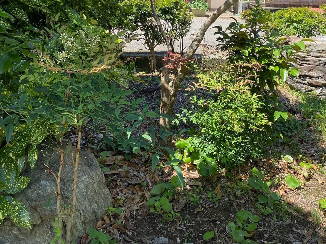 庭石 灰色 約75×80×45㎝ 自然石【石川県引き取り限定】まとめ割