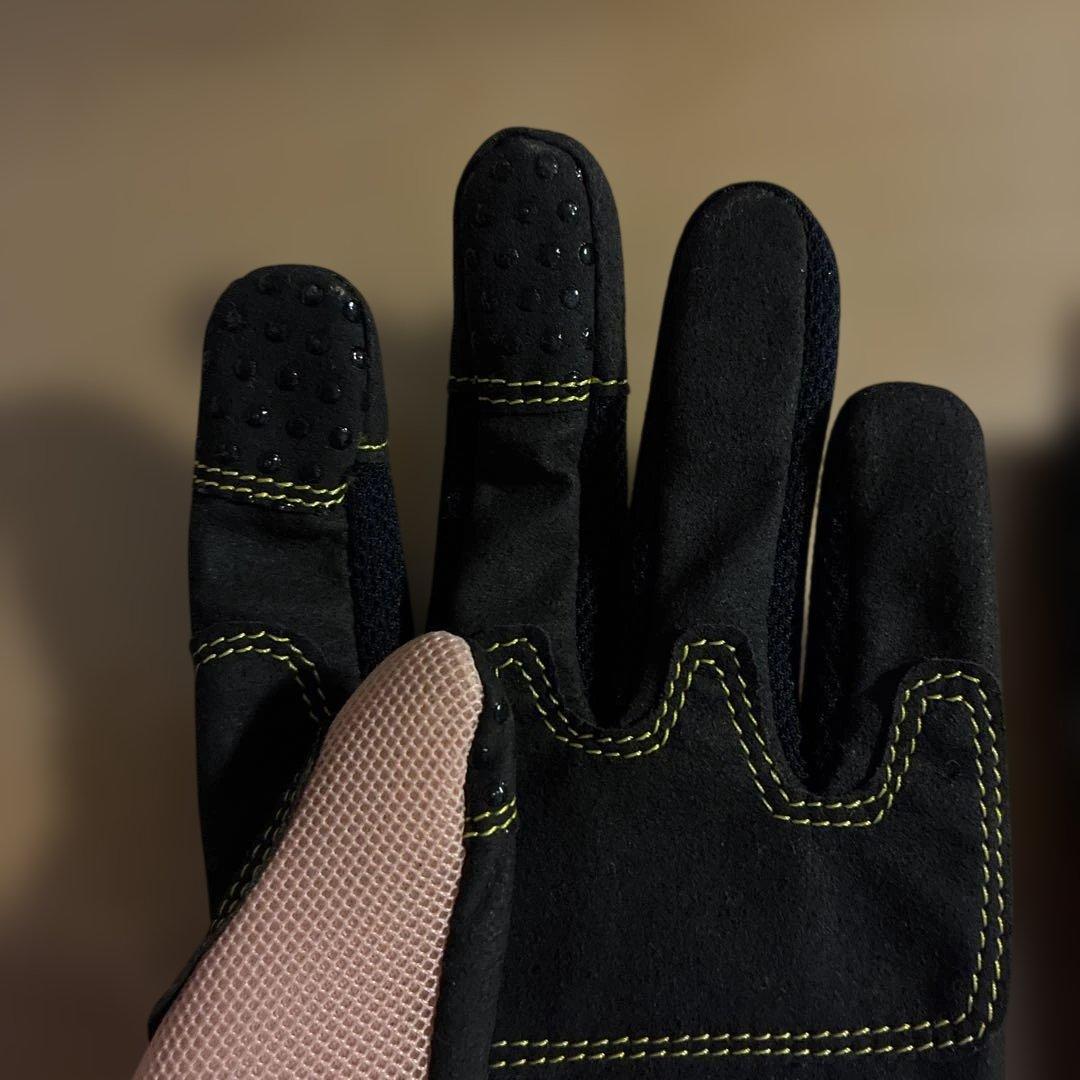 DAMMFLAPPER CHEERPapillon 54_56cm セット販売