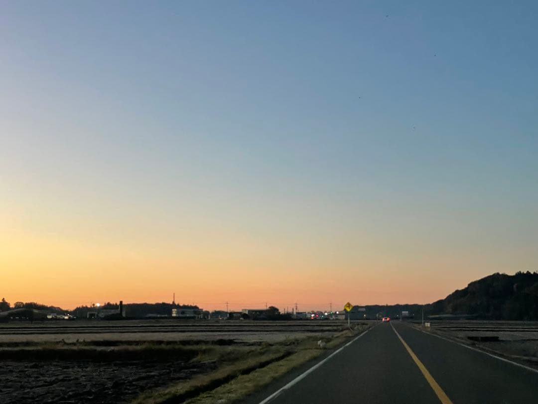 【BI】 藤ともみじ 8品