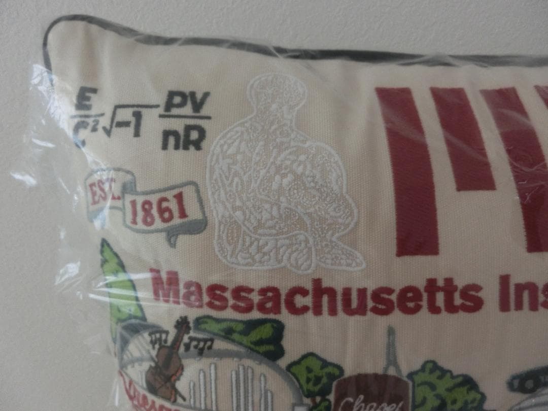 新品・未使用品　MIT マサチューセッツ工科大学 クッション