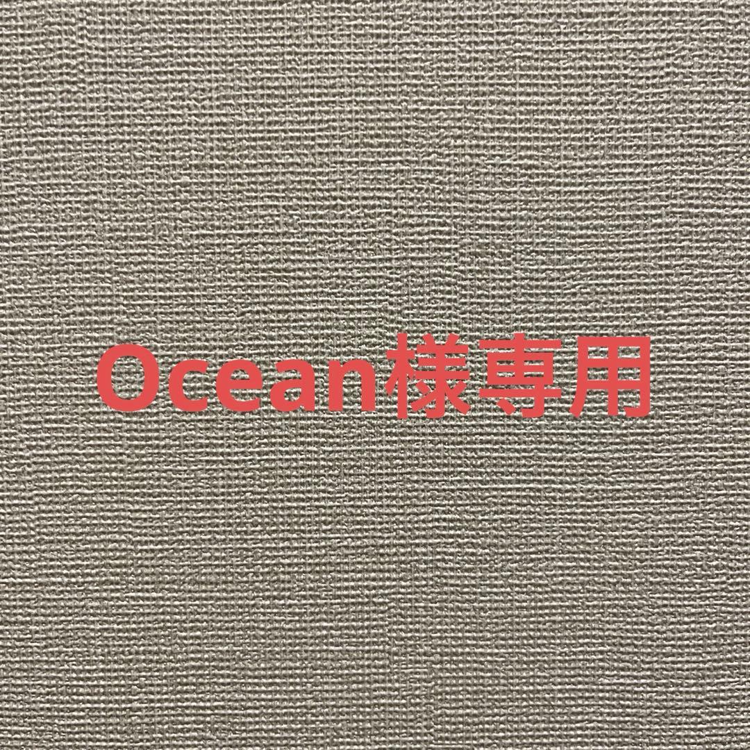 その他 Ocean