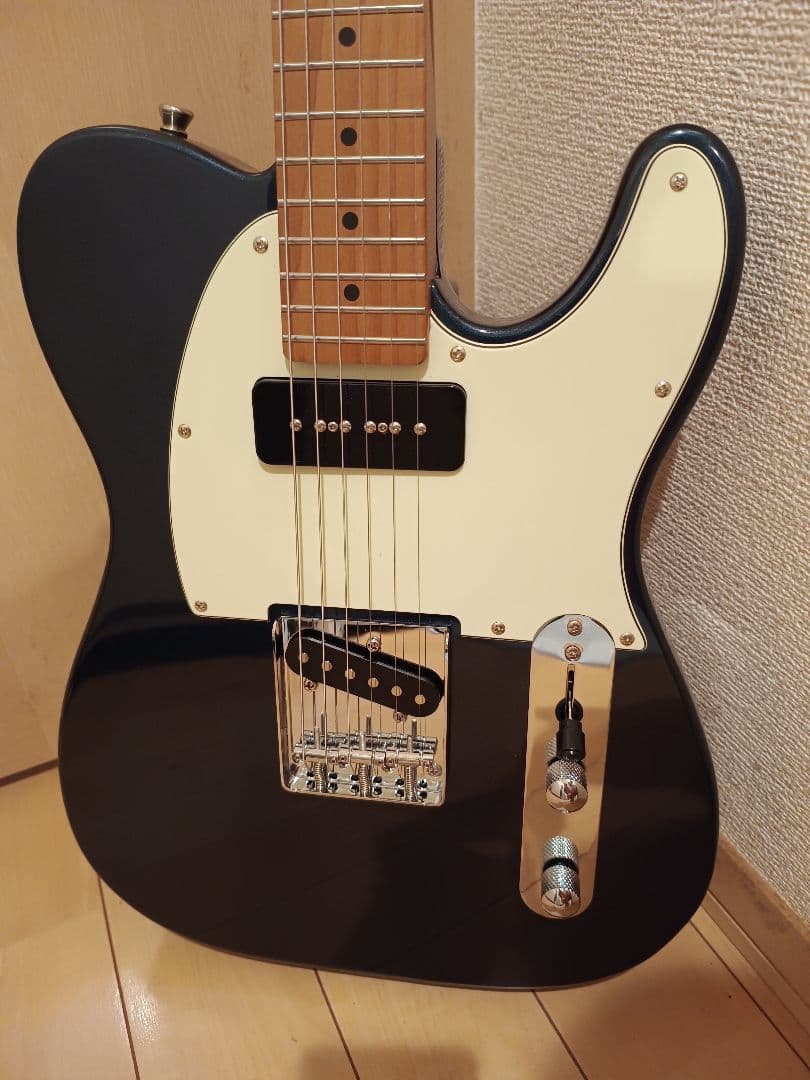 BACCHUS BTE-2-RSM/M DLPB テレキャスタータイプ