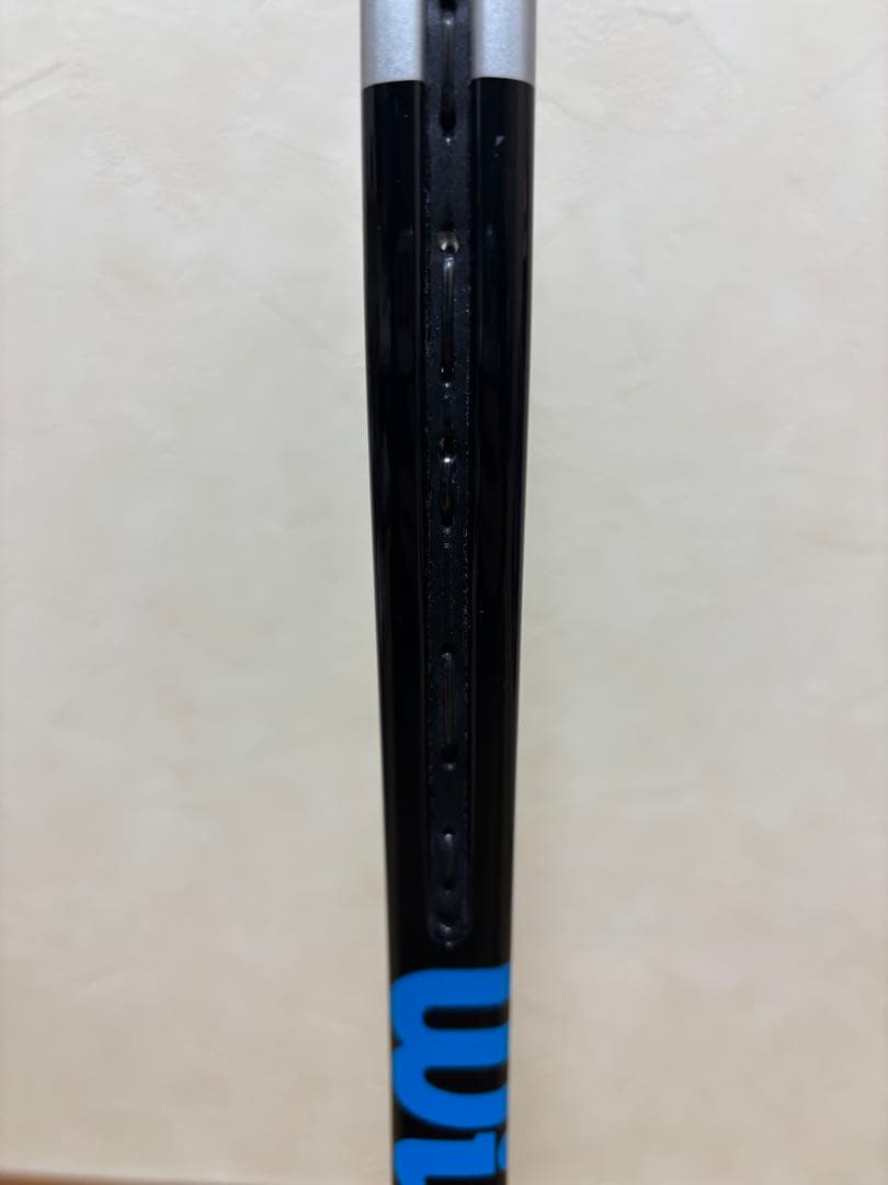 【限定モデル】プロラボ ウィルソンウルトラプロ 16x19 V3.0 G2