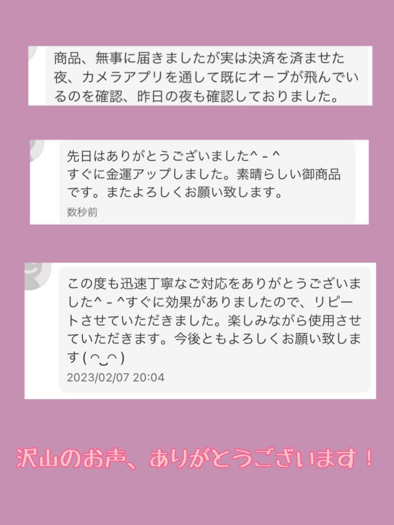チョウピラコ 座敷童子 計6体宿る！熊のぬいぐるみ ボールチェーンキーホルダー型