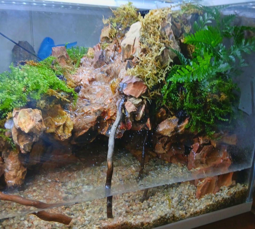 ️⭕️sale夏️⭕️アクアテラリウム 完成品 滝 中型ガラス水槽