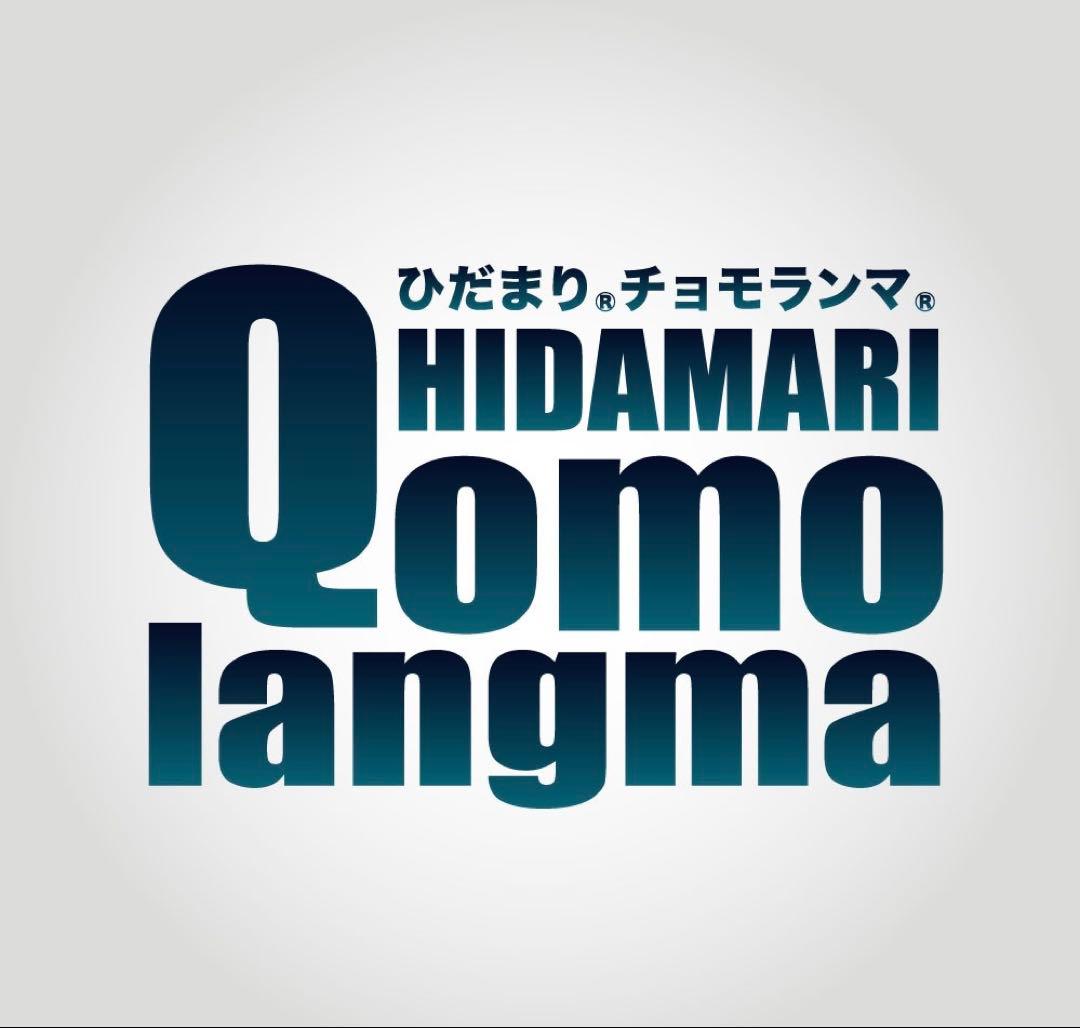 【正規品大特価】ひだまり肌着 チョモランマ 紳士ズボン下 Ｍ　QMS951