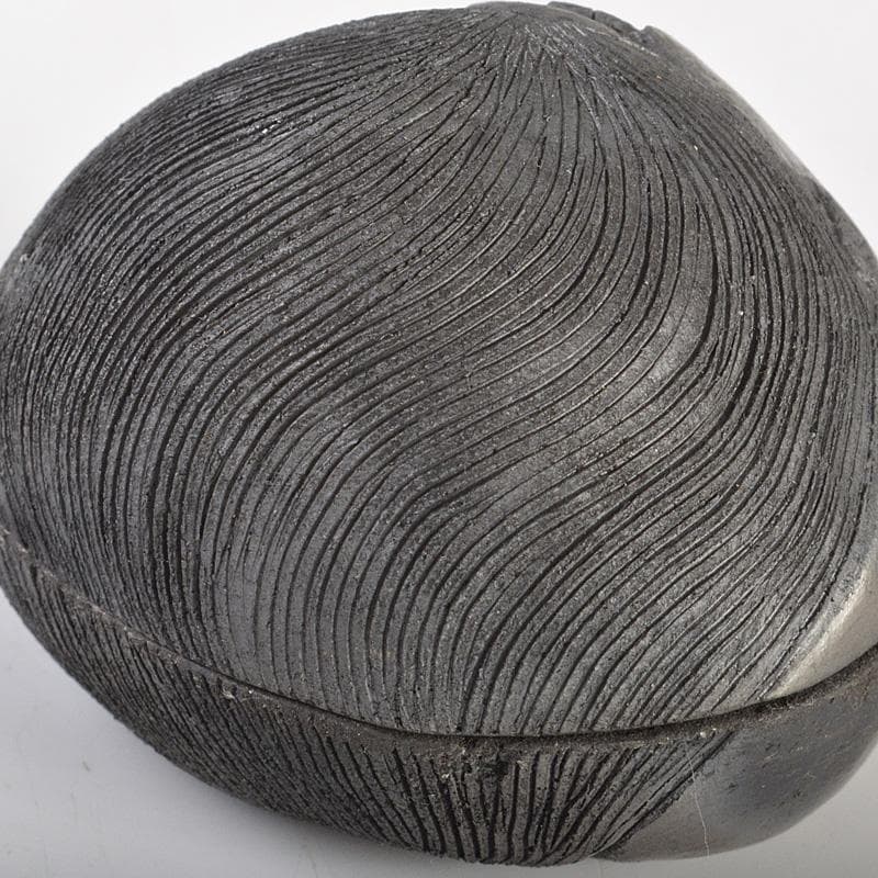 茶道具　陶磁器製　香合　在銘　共箱　V　6605