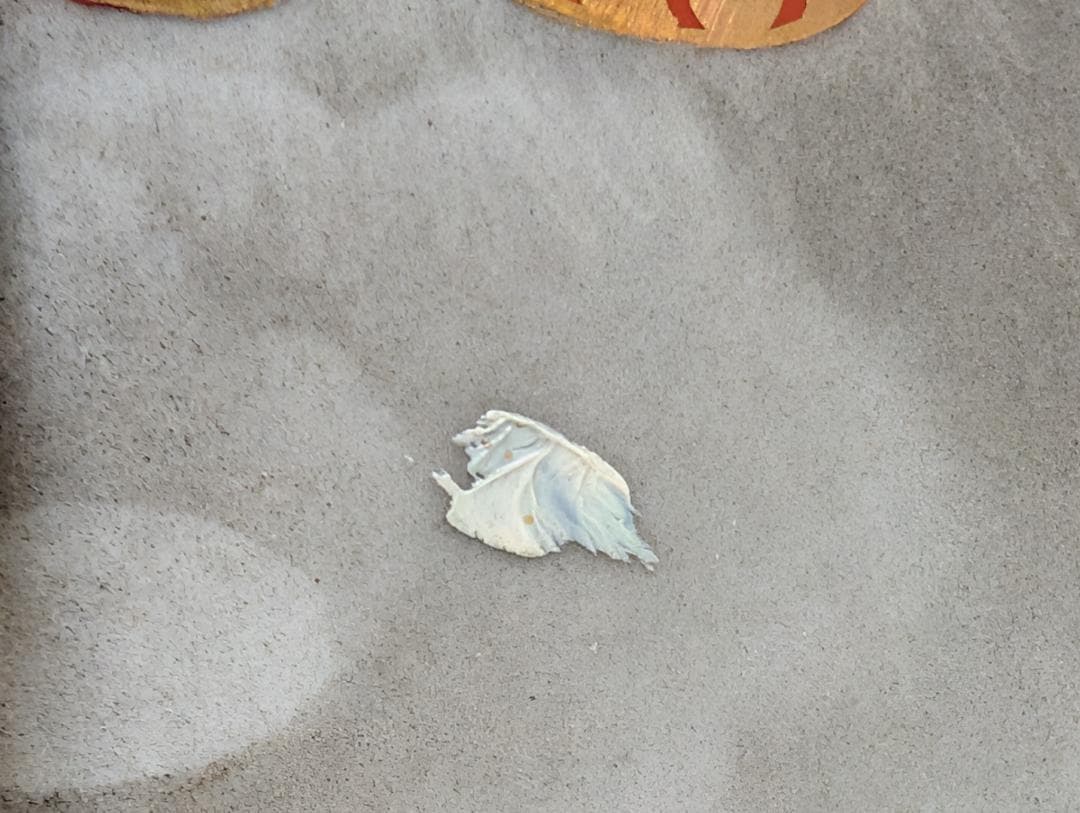 古美術　アンティーク　盤口瓶　双耳広口瓶　穿雲龍紋様　明治　九谷　谷口製