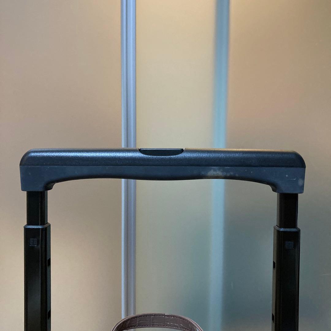 SWANY 支えるバッグ　つやつやクロコ調トート