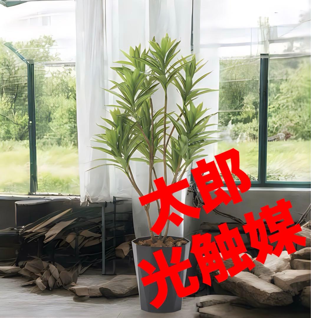 光触媒　人工観葉植物　フェイクグリーン　フレッシュドラセナ1.2m