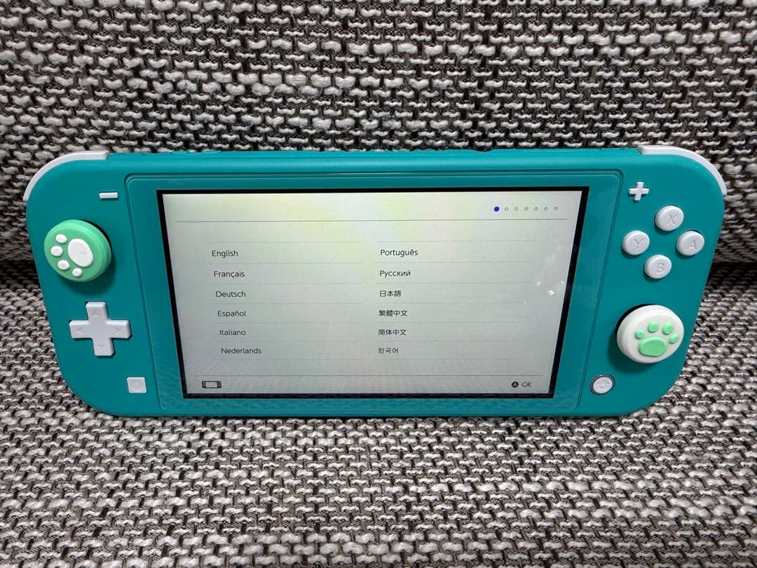 Nintendo Switch Lite ターコイズ 本体　どうぶつのもりケース