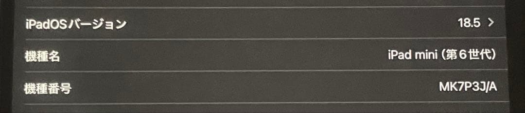 極美品 iPad mini 第6世代 64GB Wi-Fi 箱レシート有